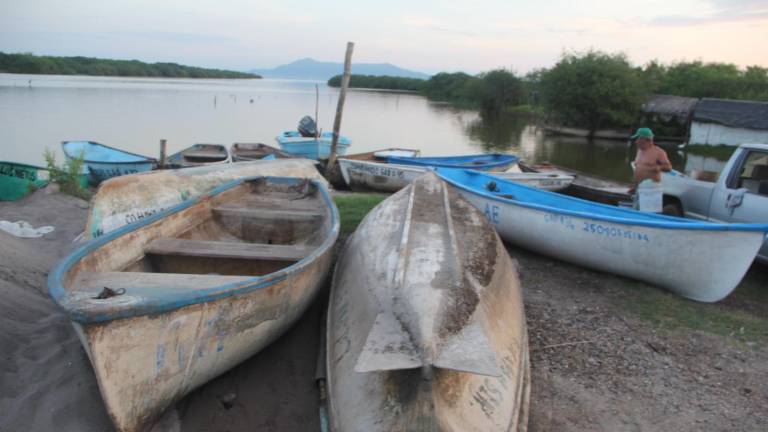 La diputada federal gestiona mayor presupuesto y pide a Semarnat facilitar proyectos para el sur de Sinaloa.