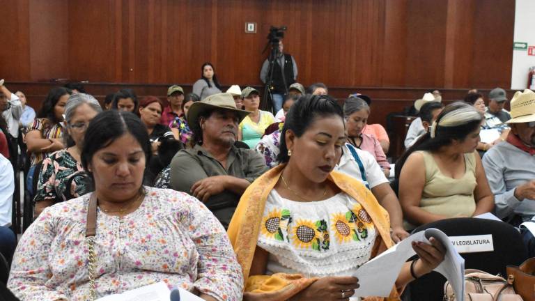 Miembros de comunidades indígenas en Sinaloa había pedido una representación con voz y voto.