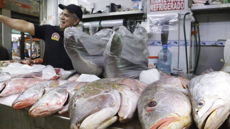 A pesar de que se está en la temporada de Cuaresma, la venta de pescados y mariscos en el Mercado Garmendia de Culiacán no han repuntado.