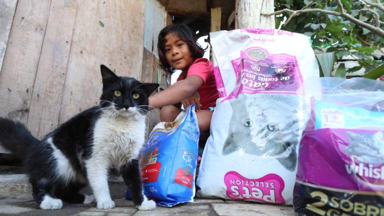 SÉ UN REY MAGO | Tiene Claudia comida para su gata y también una bicicleta este Día de Reyes
