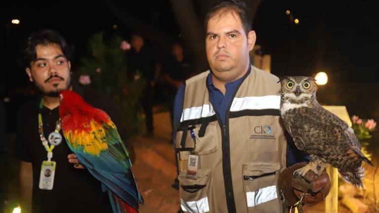 En el Gran Acuario Mazatlán Mar de Cortés celebran cena de gala para recaudar fondo para el hospital de la fauna.
