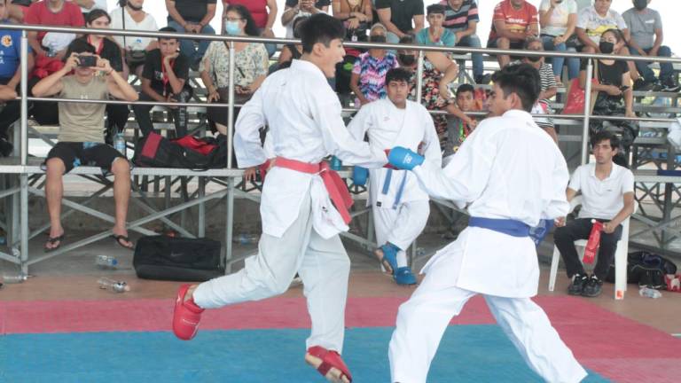 Más de 30 escuelas de karate estarán presentes en el evento.