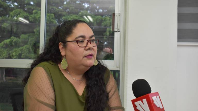 Jhenny Judith Bernal Arellano aclaró la situación de las inconformidades referentes a la falta de apoyos a periodistas que han sido sacados del estado por amenazas.