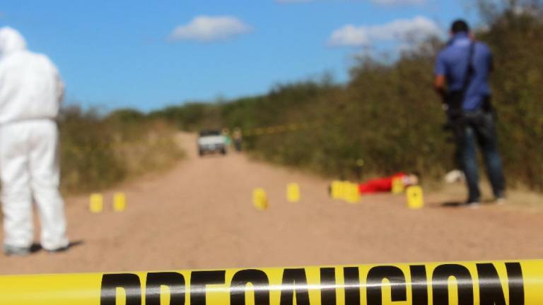 En Michoacán hallan a ocho personas asesinadas en un ‘campamento clandestino’