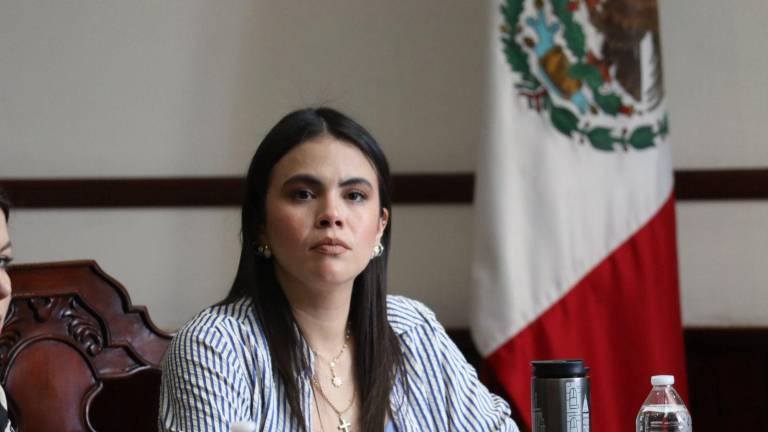 Ramos Villarreal confirmó que la solicitud fue recibida por escrito y que actualmente se encuentra en revisión para determinar si es posible atenderla.