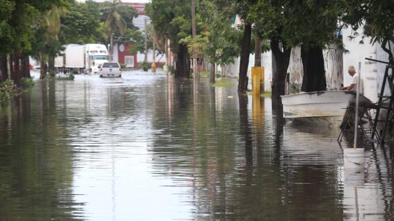 Transporte urbano de Mazatlán intentará restablecer servicio al mediodía