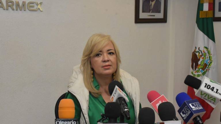 Martha Elena Reyes Zazueta, vicepresidenta del Centro Empresarial Sinaloa.