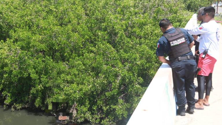 En el Estero del Infiernillo, en Mazatlán, localizaron el cuerpo de un hombre sin vida.