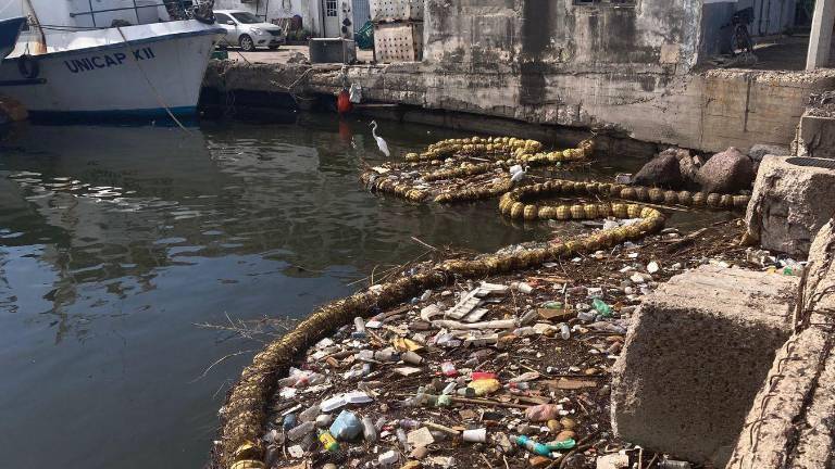 Sofía Trejo defiende la iniciativa ante críticas y destaca su papel clave tras lluvias en Mazatlán.