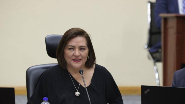 Guadalupe Taddei Zavala dijo que se va a poder iniciar el proceso electoral el 4 de septiembre.