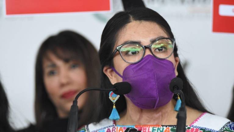 Elena Ríos aseguró que este tipo de violencia es el vivo ejemplo del borrado de la mujer, pues no solo borran su identidad, sino también su vida.