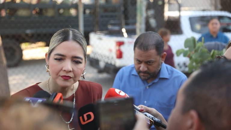 La Alcaldesa de Mazatlán Estrella Palacios Domínguez informó que licitarán 21 obras para mejorar calles por 25.9 millones de pesos.