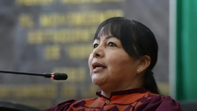 Diputada Edith Palma.