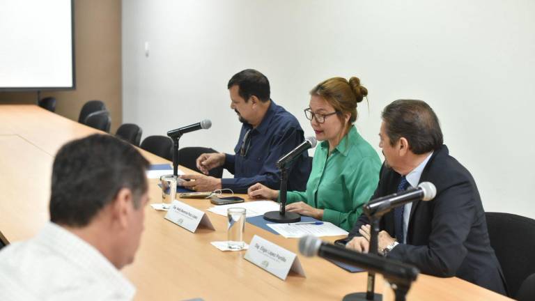 La iniciativa ha generado observaciones por su alto costo.