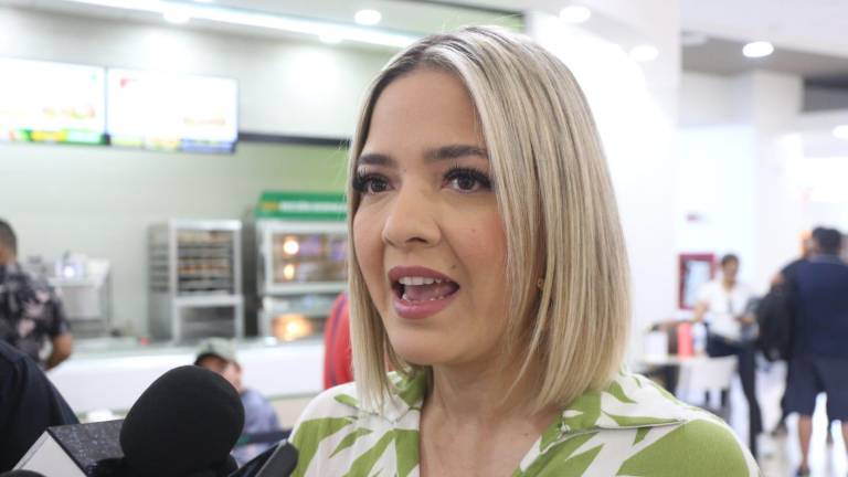 La Secretaria de Turismo en Sinaloa, Estrella Palacios Domínguez, dio a conocer la cifra de nuevos asientos de avión por las recientes rutas anunciadas.