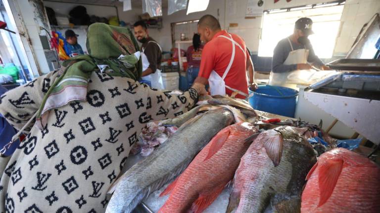 Embarcadero de la Isla de la Piedra.