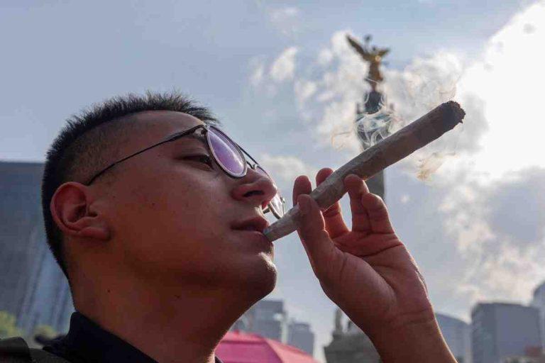 Organizaciones impulsan encuesta de consumo de cannabis para fines terapéuticos ante ausencia de voluntad política