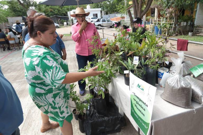 Se busca reforestar Palmillas, en Mazatlán, con árboles regionales y nativos: Agroturismo MZT