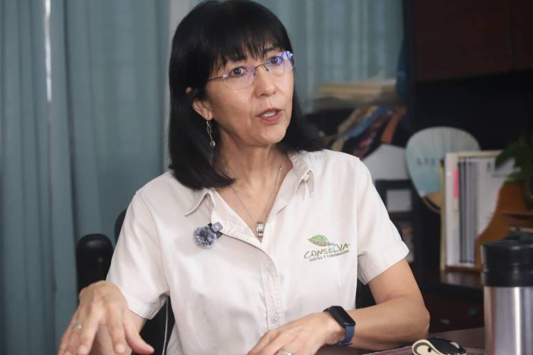 Mazatlán avanza en resiliencia climática con Estudio de Vulnerabilidad Socioambiental ante el Cambio Climático: Conselva