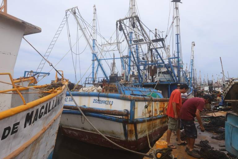 Pescadores denuncian saqueo de camarón de altamar por ribereños y aún no definen inicio de la zafra