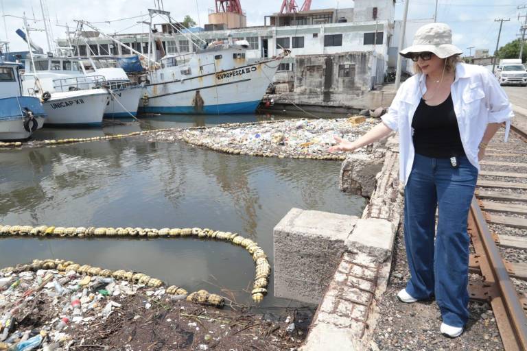 Las biobardas, además de contener basura, visibilizan el gran problema que enfrenta Mazatlán en el tema: Ambientalistas