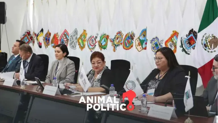 Durante la asamblea plenaria, las y los fiscales del país aprobaron la implementación, a nivel nacional, del seguimiento del Registro Criminal de Armas de Fuego.