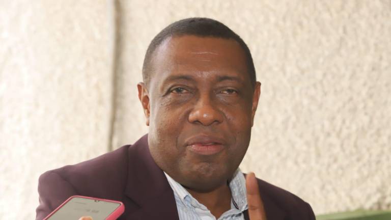 Raúl Peralta Girón destacó que los productores mexicanos cada vez se esfuerzan en reducir el uso de plaguicidas.