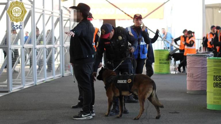 El operativo fue coordinado por policías de la Secretaría de Seguridad Ciudadana de la Ciudad de México.