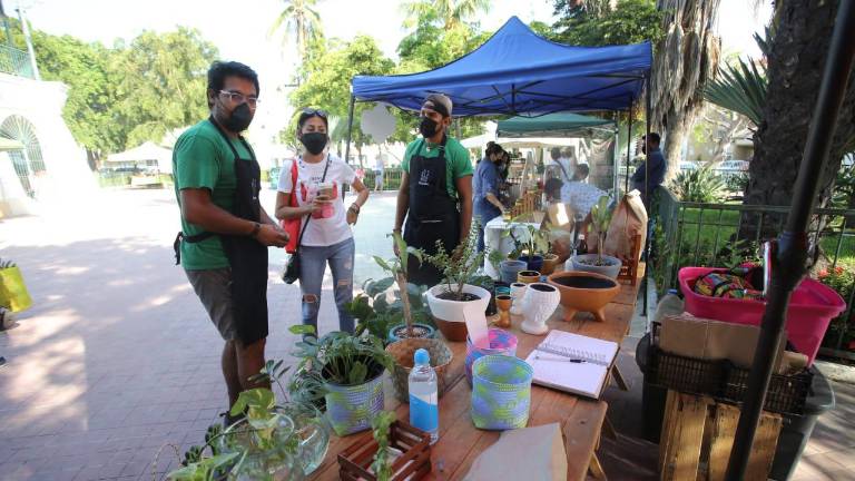En la Plazuela Zaragoza, que es donde se realiza el Mercado Orgánico, también se exhiben productos ecológicos, botanas sin conservadores, productos para la piel y maquillaje, ropa y música de saxofón.