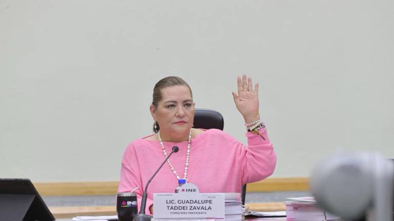 Taddei Zavala demandó a los legisladores que en el texto de la reforma quede explícito que el INE operará únicamente como intermediario.