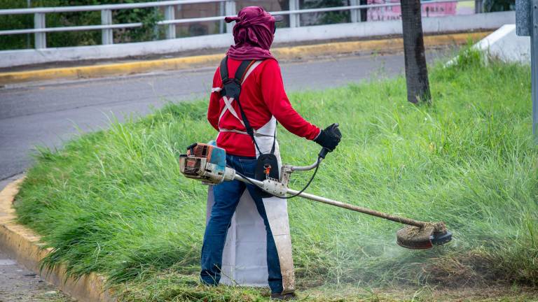 Las acciones realizadas se centraron en el corte y retiro de pasto, así como la poda de árboles.