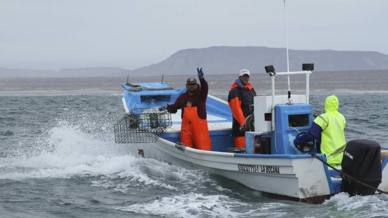 La Comisión Nacional de Acuacultura y Pesca dio a conocer las vedas que se implementarán durante el mes de febrero.