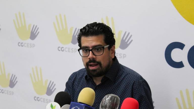 La Coordinación del CESP lanzó un exhorto para revisar las estrategias contra el delito de violencia familiar.