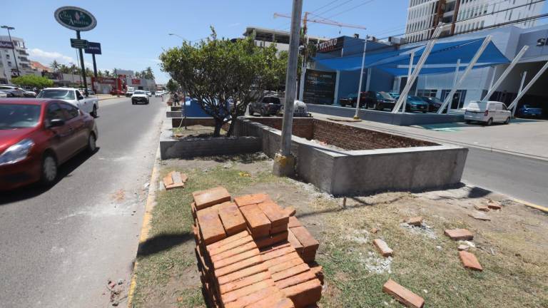 Invierten $1.2 millones en jardineras exprés en camellón en la zona inundable de la Avenida Reforma