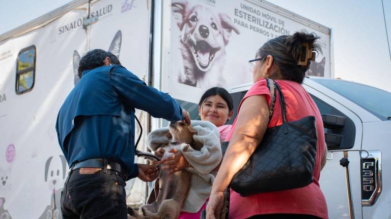 El DIF Bienestar de Culiacán llevó una jornada de esterilización en la colonia El Vallado.