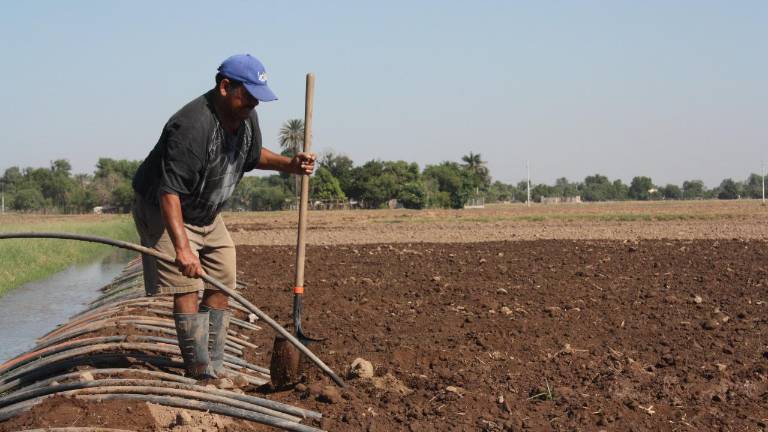 Gustavo Rojo Plascencia explicó que de entrar en vigor el Régimen Simplificado de Confianza se perderían las facilidades administrativas que tenían quienes se dedican a las actividades agropecuarias.
