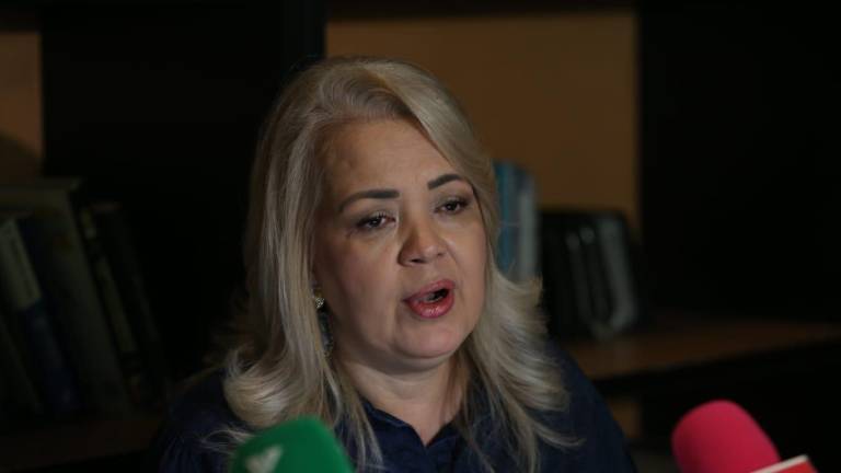 Martha Reyes Zazueta, dirigente de Coparmex, advirtió que la recuperación de Sinaloa de la crisis que padece tardará años.