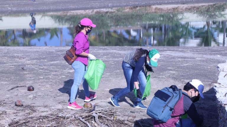 Activistas en el Estero del Yugo recogen la basura que se encuentra en la zona de Cerritos.