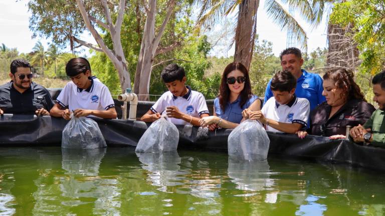 Estudiantes del Cetmar de Altata reciben la donación de 3 mil alevines de tilapia de parte de la Secretaría de Pesca en Sinaloa.