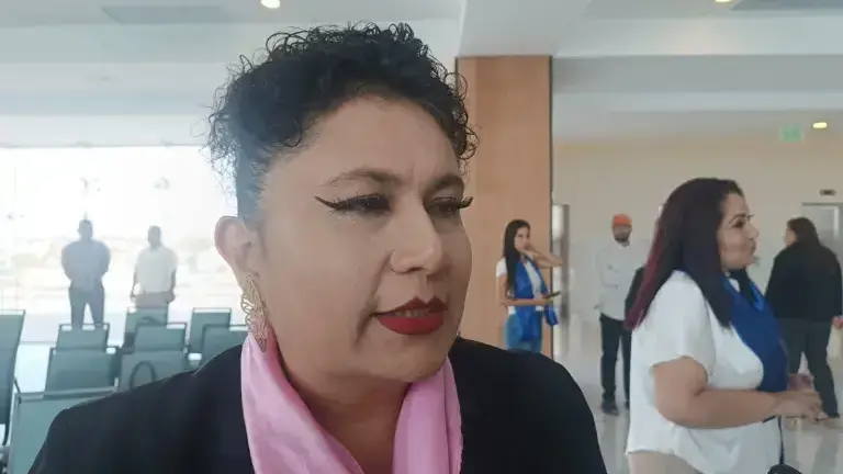 Catalina Araceli Castañeda Estrada, Asociación de Empresarias Ejecutivas de Sinaloa.
