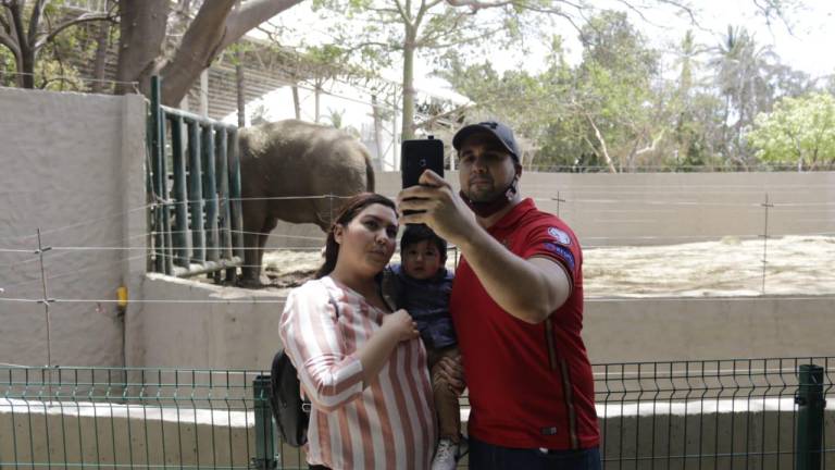 Público del Zoológico de Culiacán hace fila para ver a ‘Big Boy’