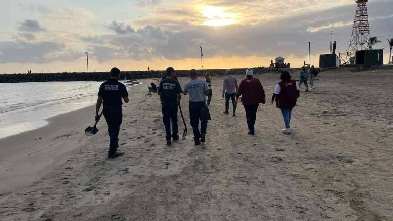 Personal de diferentes dependencias federales recorren las playas donde se registraron problemas de contaminación por el derrame de hidrocarburos.