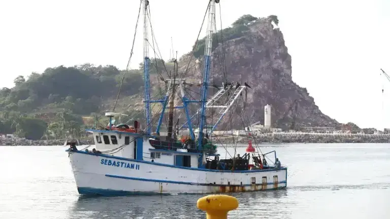 La mayor parte de los 160 barcos que salieron a pescar estarán arribando en lo que resta de la semana, previo a los festejos de la navidad.
