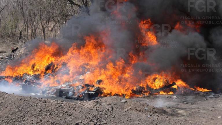 La destrucción del material ocurrió en un predio de la dependencia federal en Culiacán.
