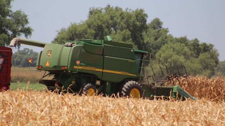 Precio del maíz rebasa los $6 mil 300 por tonelada