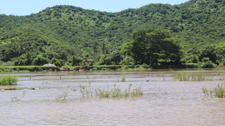 El levantamiento de la veda puede dar pie para que se busque la declaratoria de zona de desastre y se dé el apoyo del Gobierno Federal al sector, informan.