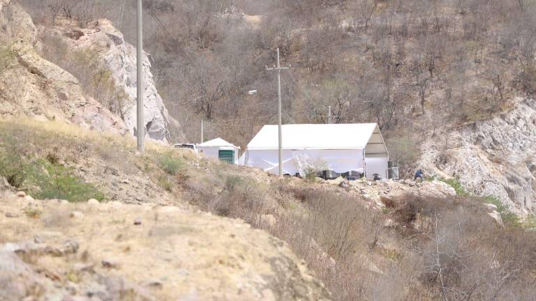 Una carpa se observa en la zona de la presa.