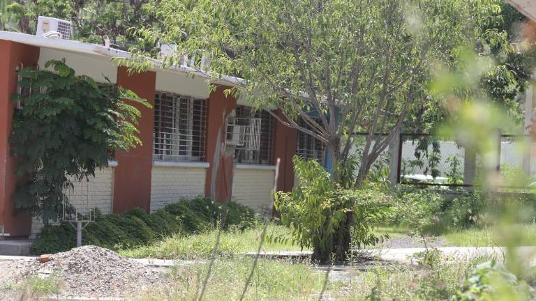 Maleza y basura acumularon las escuelas durante la pandemia por coronavirus.