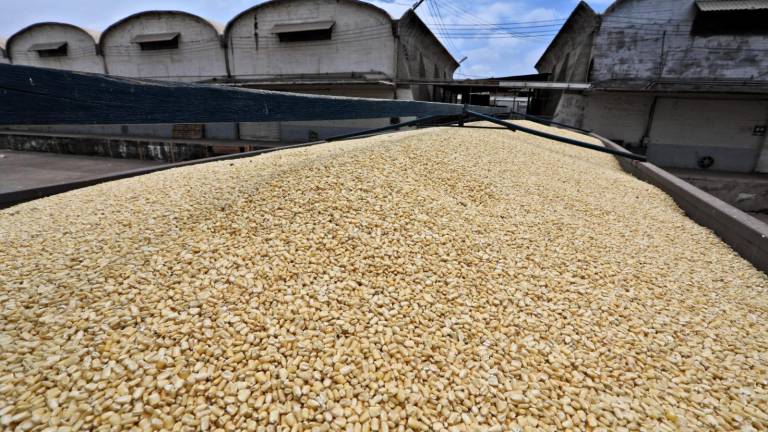 La Gobernadora interina de Sinaloa, Graciela Domínguez Nava, prometió que van a cumplir con los productores agrícolas.