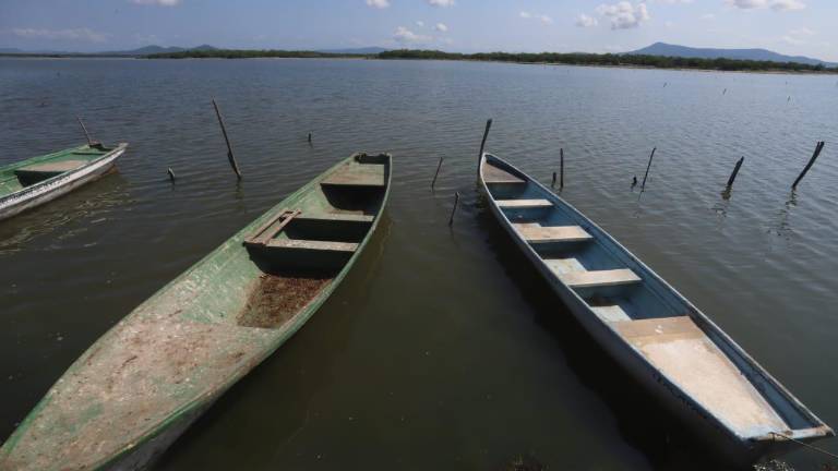 Se harán las gestiones para realizar un estudio que determinen los trabajos que se necesitan en el sistema Huizache-Caimanero, prometió la Diputada federal Graciela Domínguez Nava.